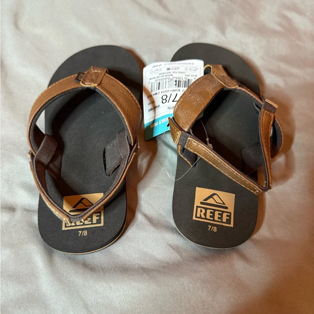 Reef 📏 size